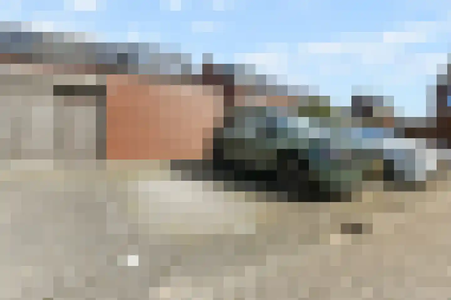 Boomkruiperzoom 8 Pijnacker thumbnail 18