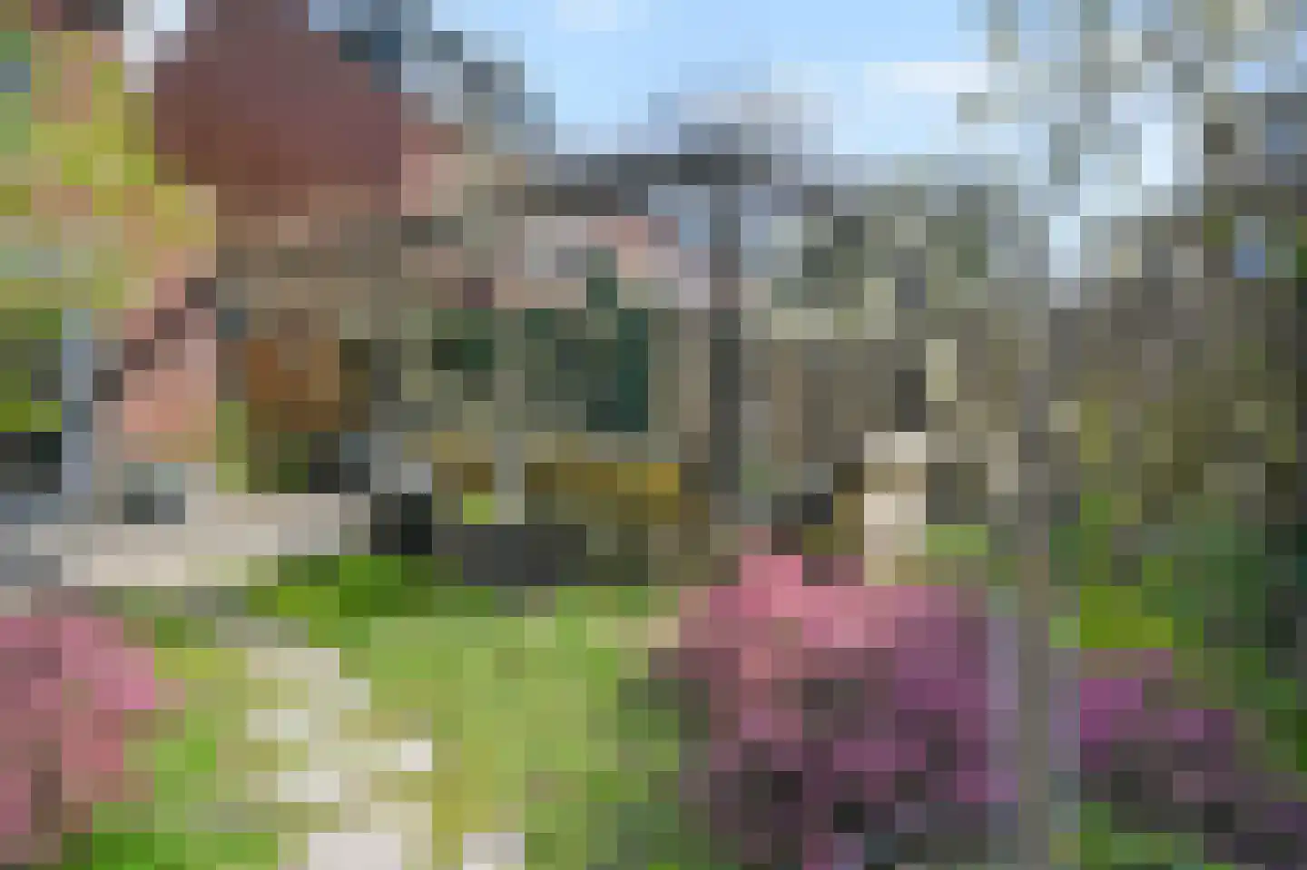 Boomkruiperzoom 8 Pijnacker thumbnail 19