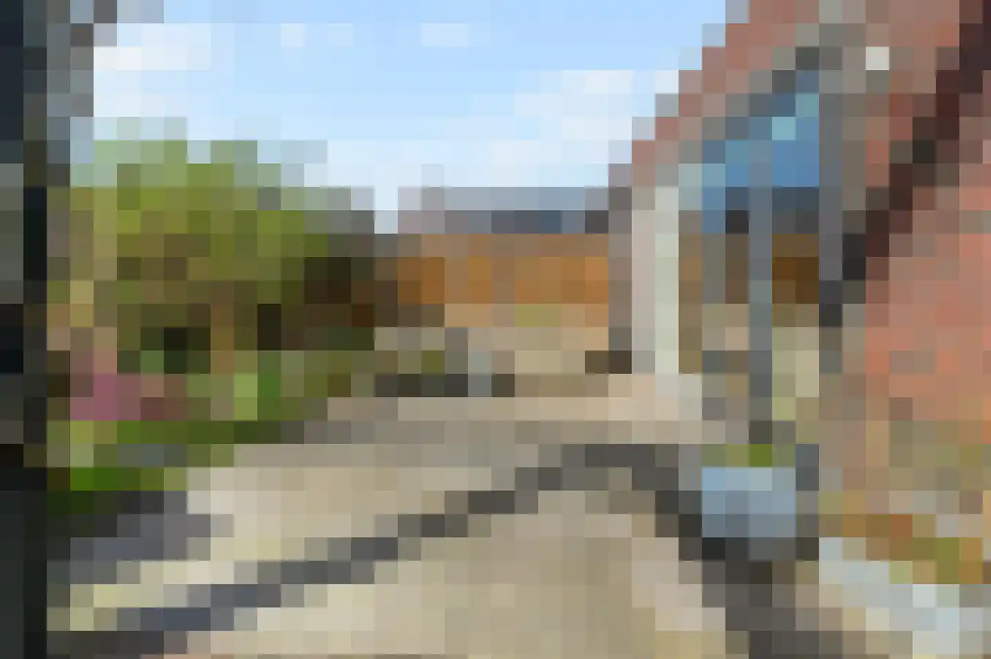 Boomkruiperzoom 8 Pijnacker thumbnail 21