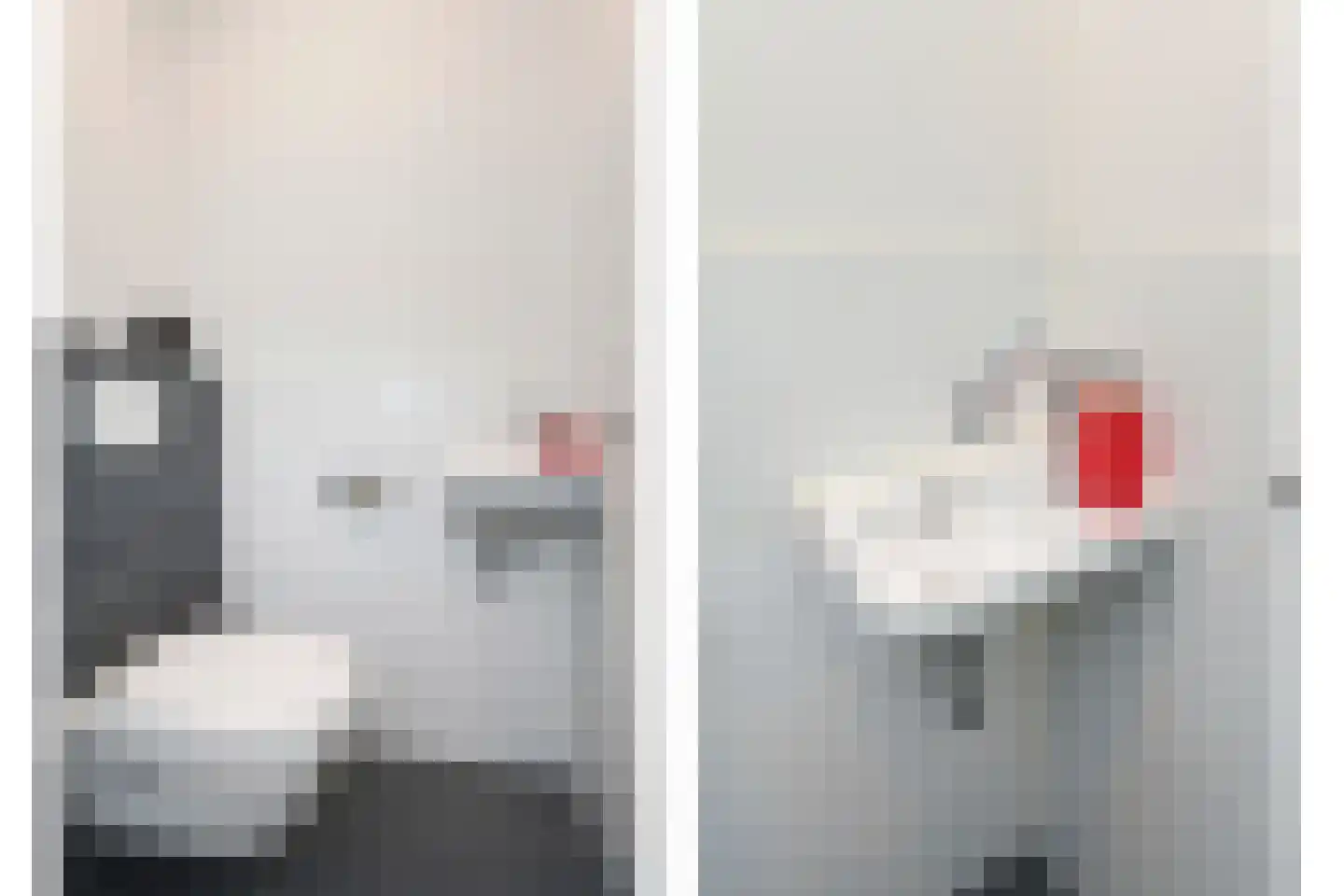 Boomkruiperzoom 8 Pijnacker thumbnail 28