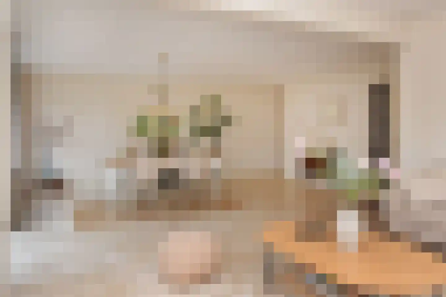 Boomkwekerij 1 Den Hoorn thumbnail 12