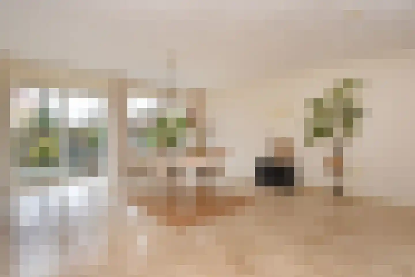 Boomkwekerij 1 Den Hoorn thumbnail 13