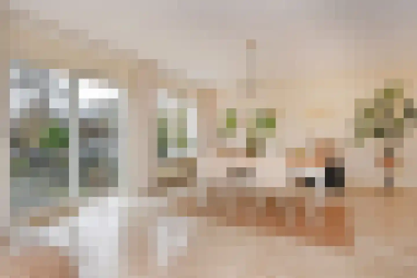 Boomkwekerij 1 Den Hoorn thumbnail 14