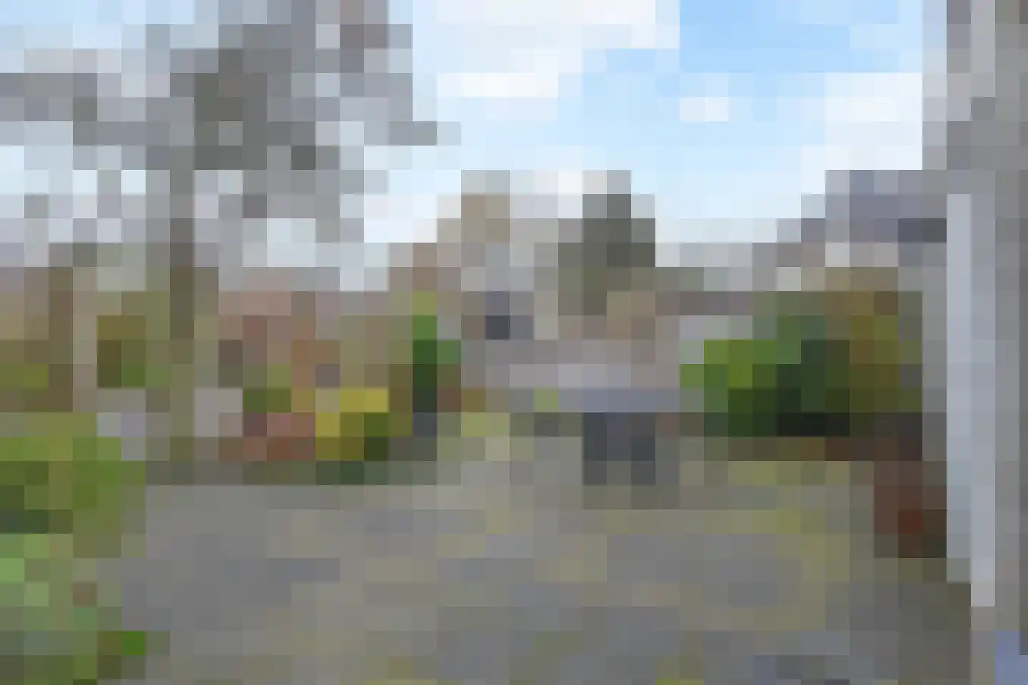 Boomkwekerij 1 Den Hoorn thumbnail 16