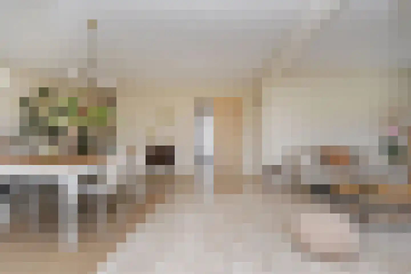 Boomkwekerij 1 Den Hoorn thumbnail 18