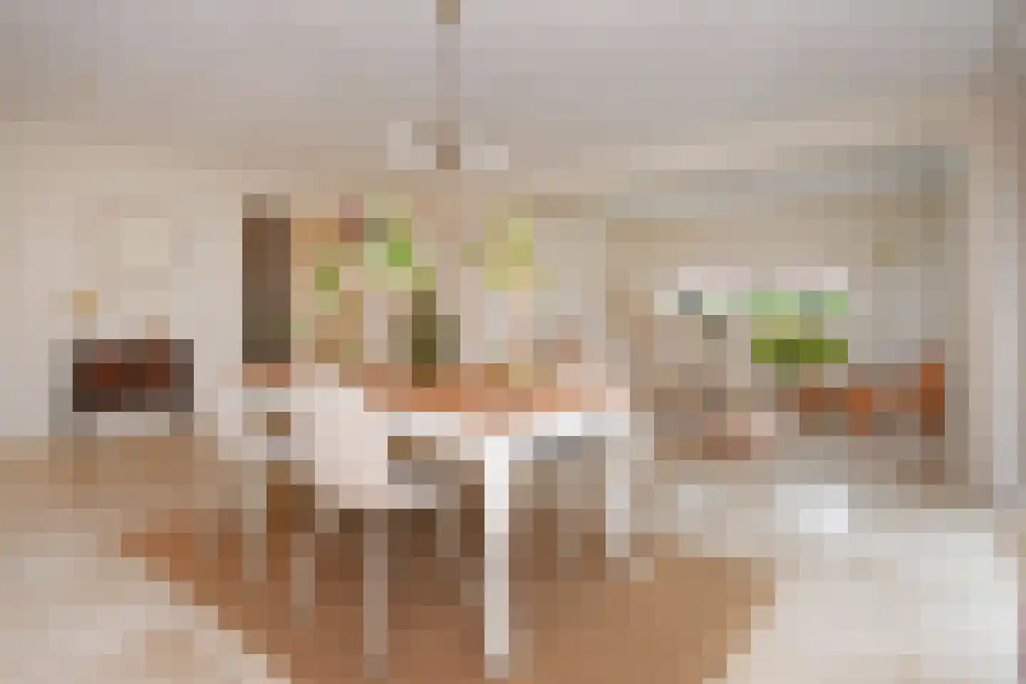 Boomkwekerij 1 Den Hoorn thumbnail 19