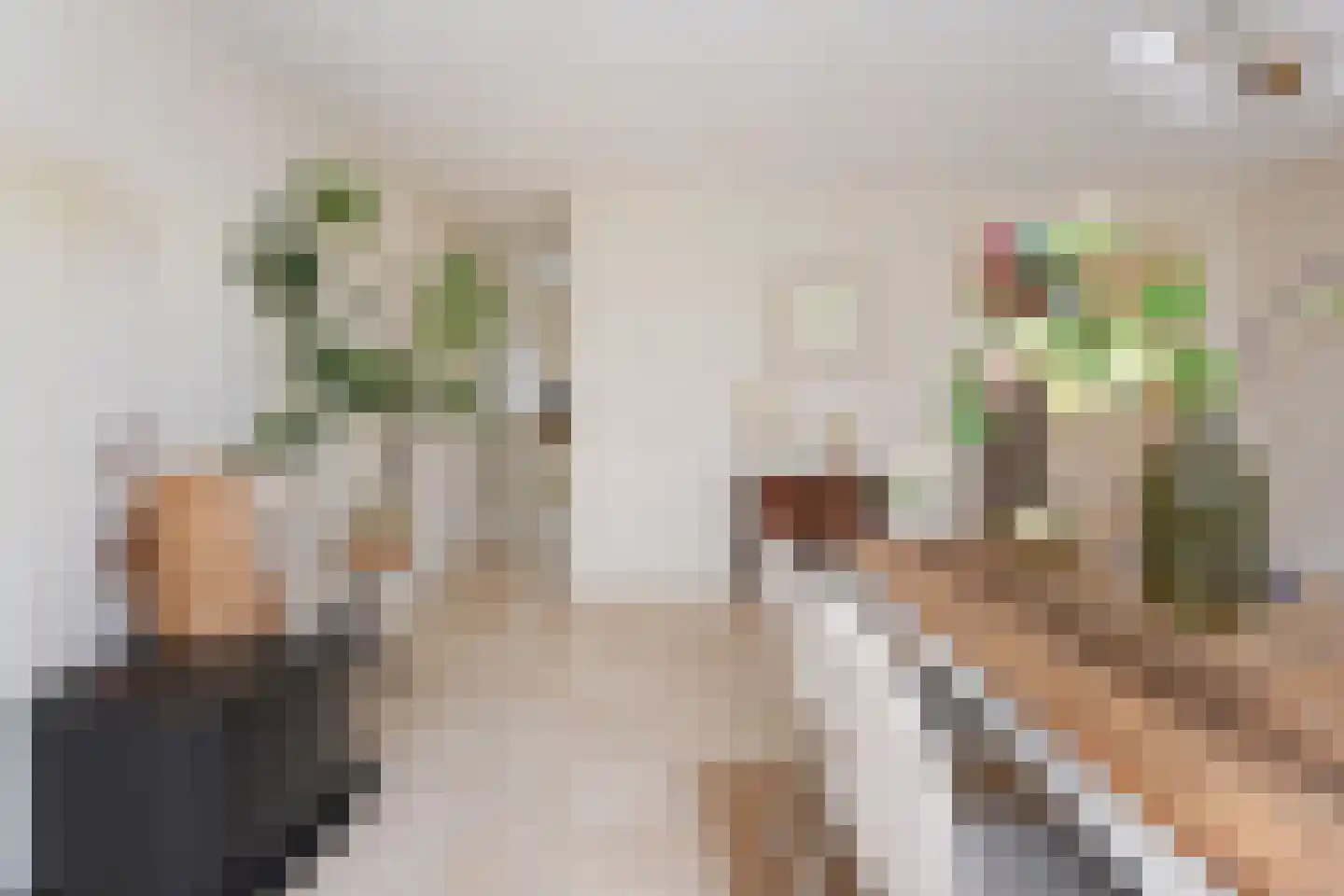 Boomkwekerij 1 Den Hoorn thumbnail 20