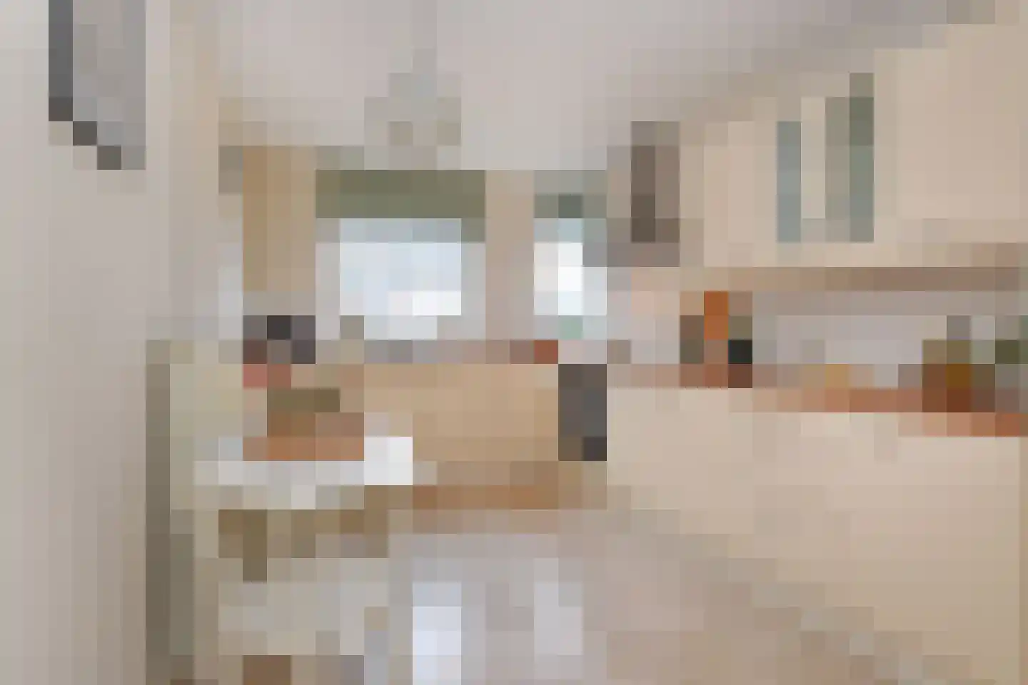 Boomkwekerij 1 Den Hoorn thumbnail 21