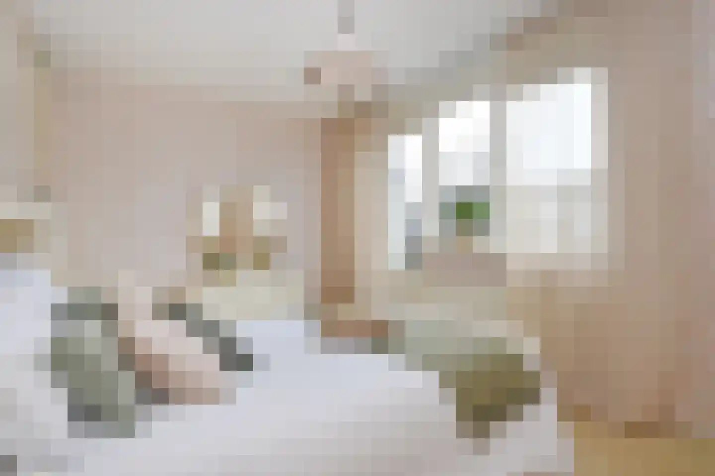 Boomkwekerij 1 Den Hoorn thumbnail 26