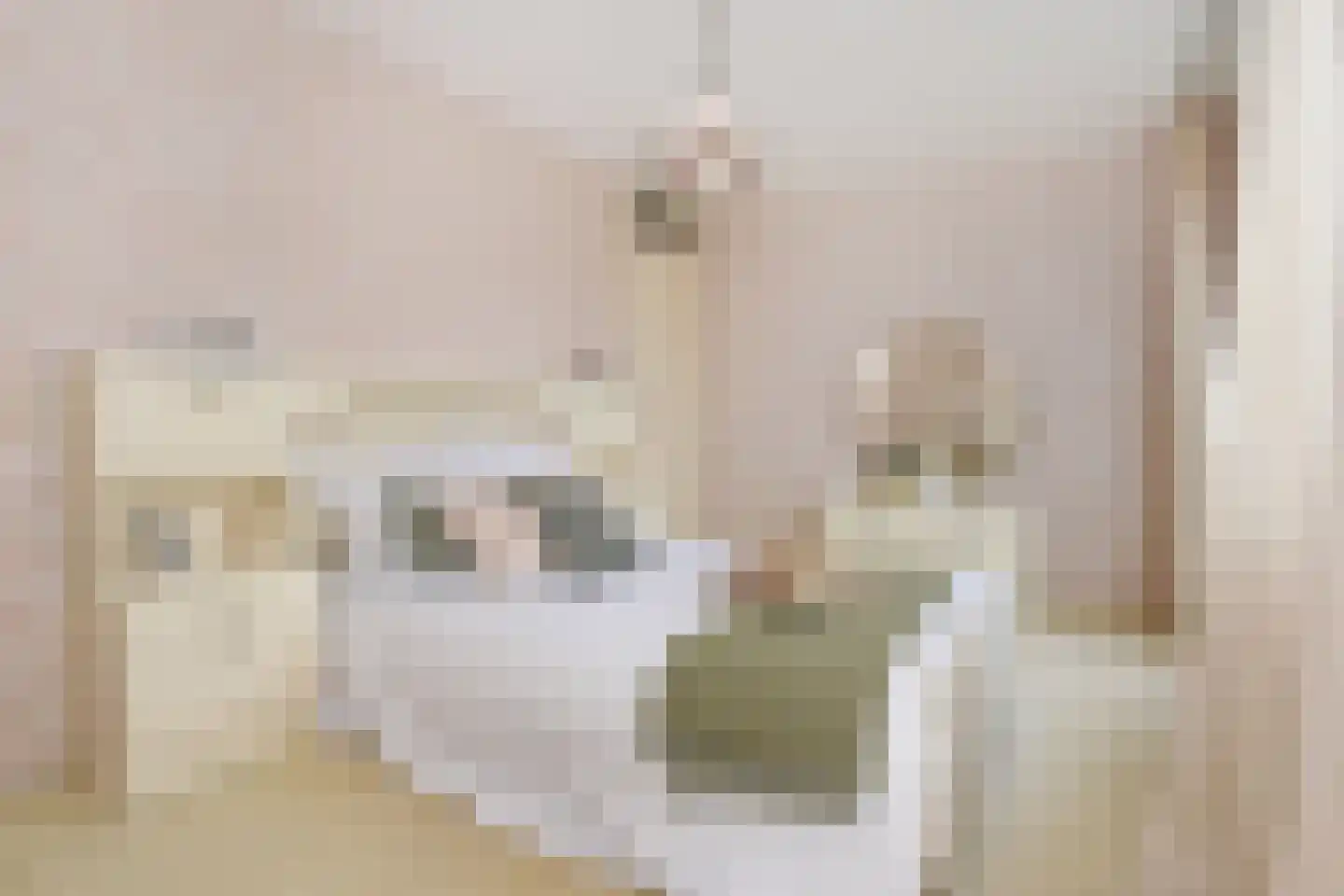 Boomkwekerij 1 Den Hoorn thumbnail 27