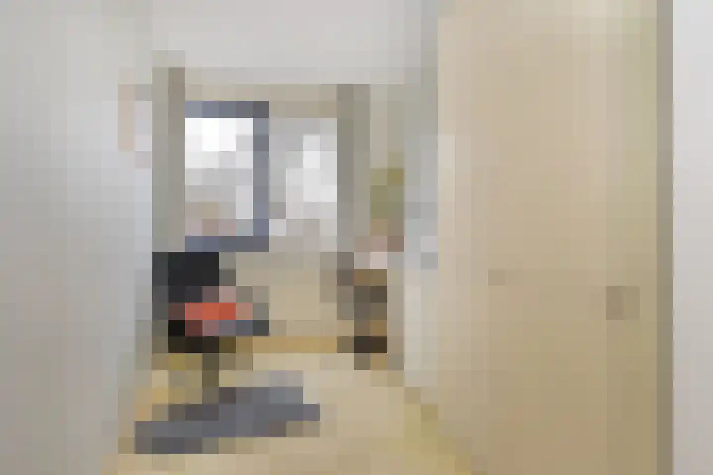 Boomkwekerij 1 Den Hoorn thumbnail 31