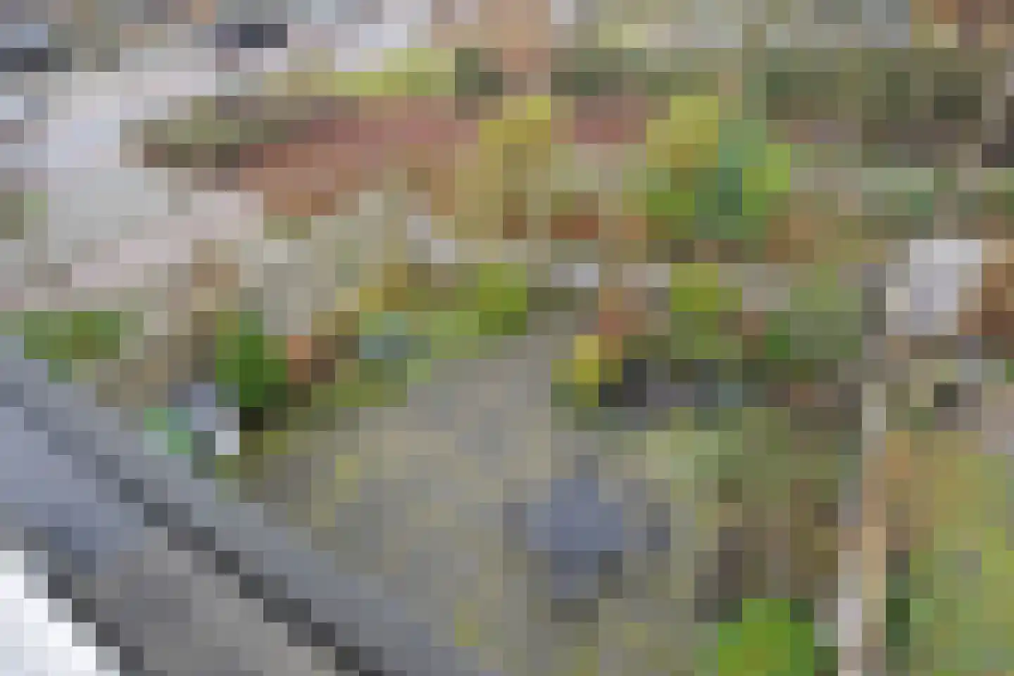 Boomkwekerij 1 Den Hoorn thumbnail 32