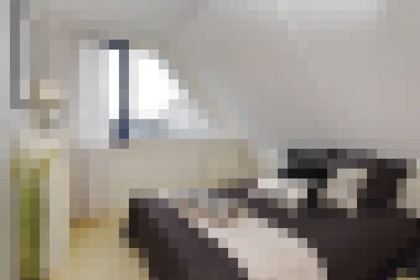 Boomkwekerij 1 Den Hoorn thumbnail 34