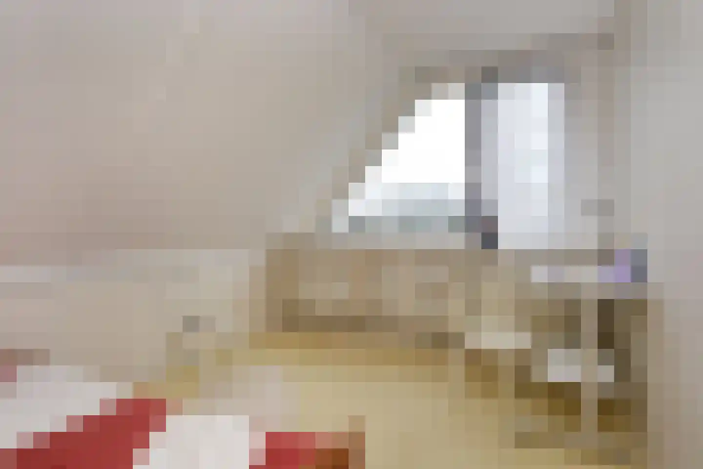 Boomkwekerij 1 Den Hoorn thumbnail 36