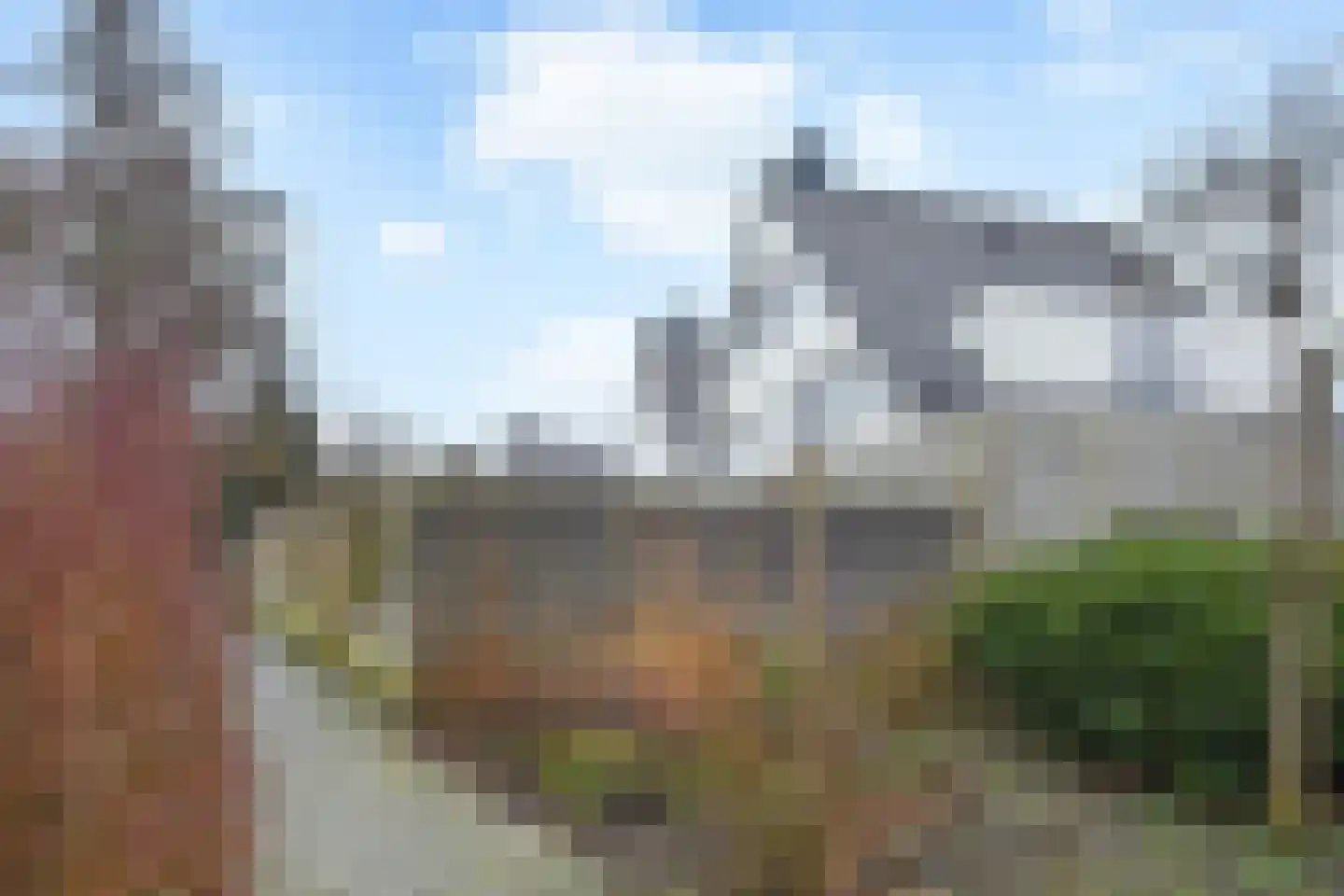 Boomkwekerij 1 Den Hoorn thumbnail 38