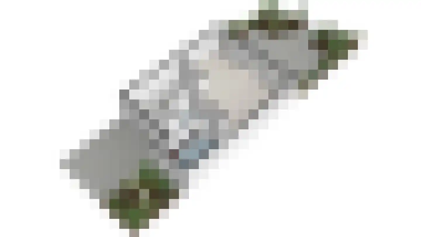 Boomkwekerij 1 Den Hoorn thumbnail 49