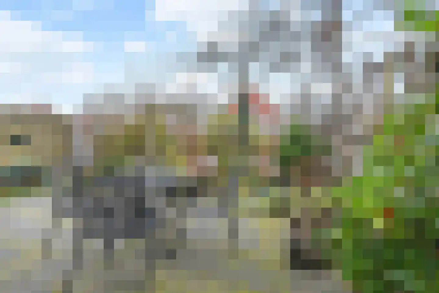 Boomkwekerij 1 Den Hoorn thumbnail 5