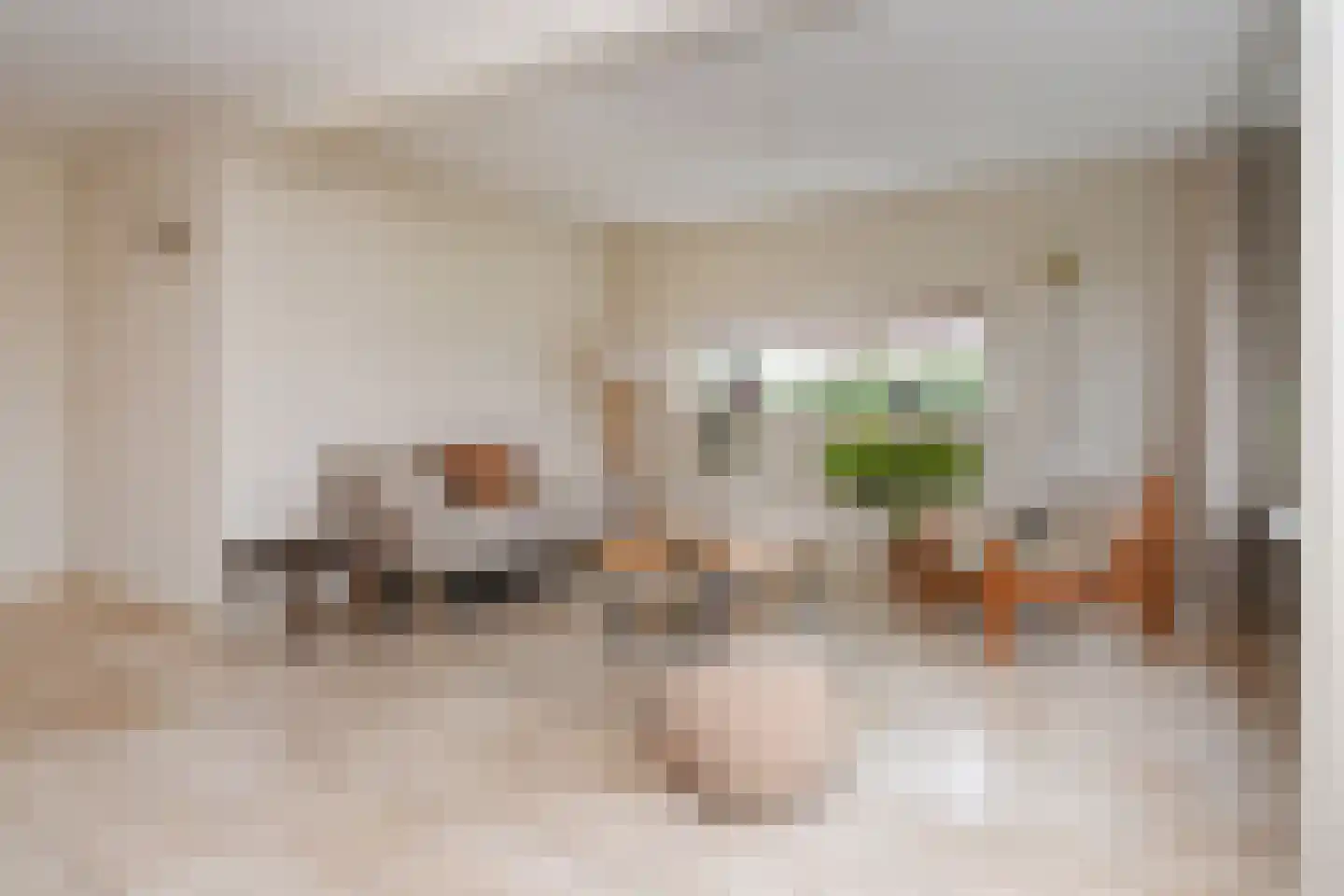 Boomkwekerij 1 Den Hoorn thumbnail 9