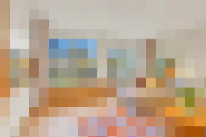 Boomkwekerij 15 Den Hoorn thumbnail 11