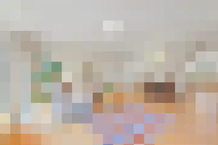 Boomkwekerij 15 Den Hoorn thumbnail 13