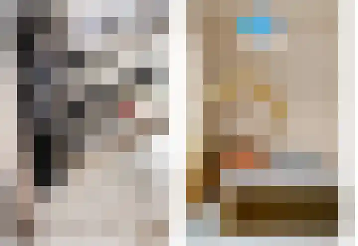 Boomkwekerij 15 Den Hoorn thumbnail 18