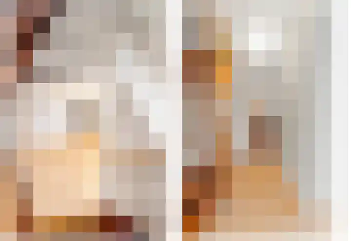 Boomkwekerij 15 Den Hoorn thumbnail 22