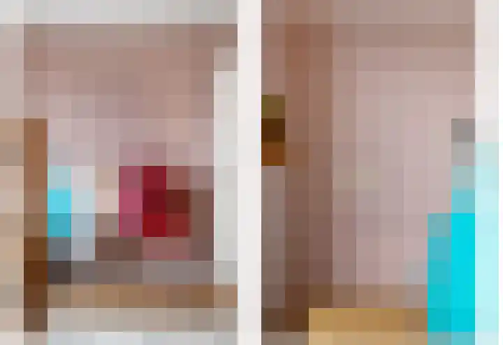 Boomkwekerij 15 Den Hoorn thumbnail 26
