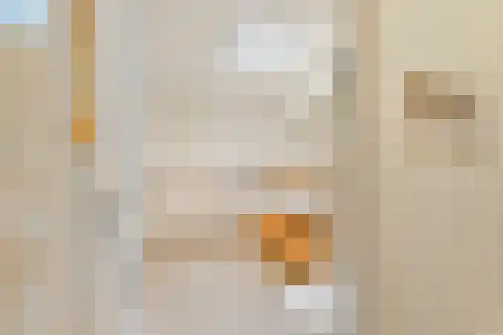 Boomkwekerij 15 Den Hoorn thumbnail 29