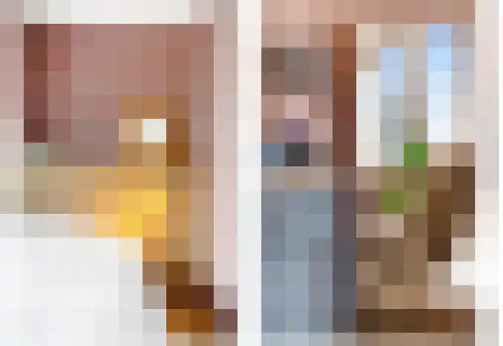 Boomkwekerij 15 Den Hoorn thumbnail 33