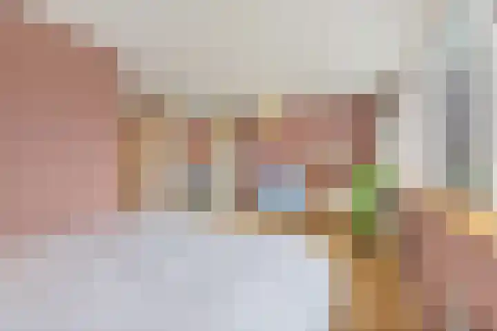 Boomkwekerij 15 Den Hoorn thumbnail 34