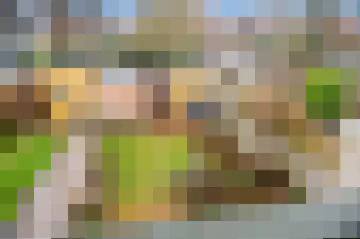 Boomkwekerij 15 Den Hoorn thumbnail 35