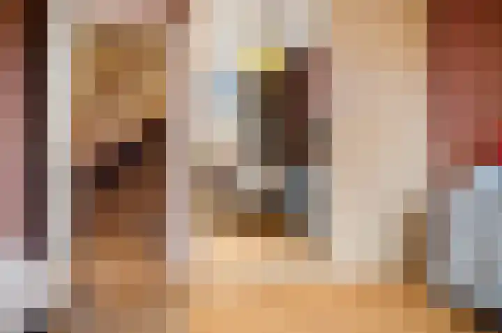 Boomkwekerij 15 Den Hoorn thumbnail 36