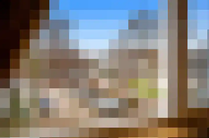 Boomkwekerij 15 Den Hoorn thumbnail 39