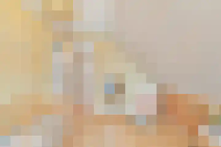Boomkwekerij 15 Den Hoorn thumbnail 40