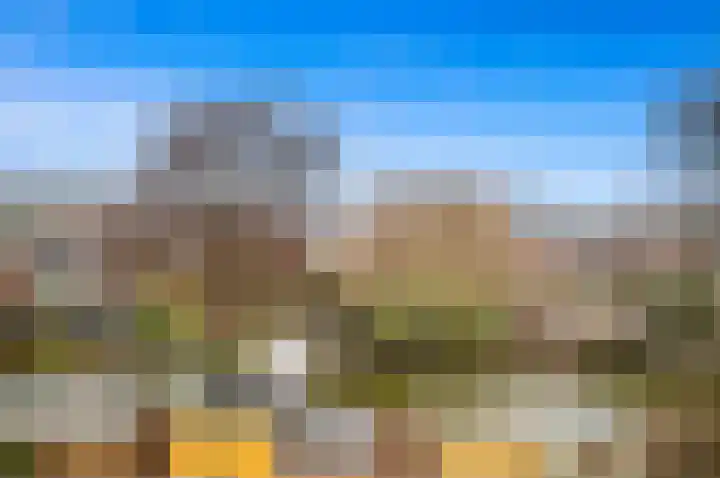 Boomkwekerij 15 Den Hoorn thumbnail 44