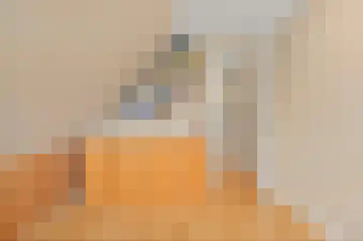 Boomkwekerij 15 Den Hoorn thumbnail 45