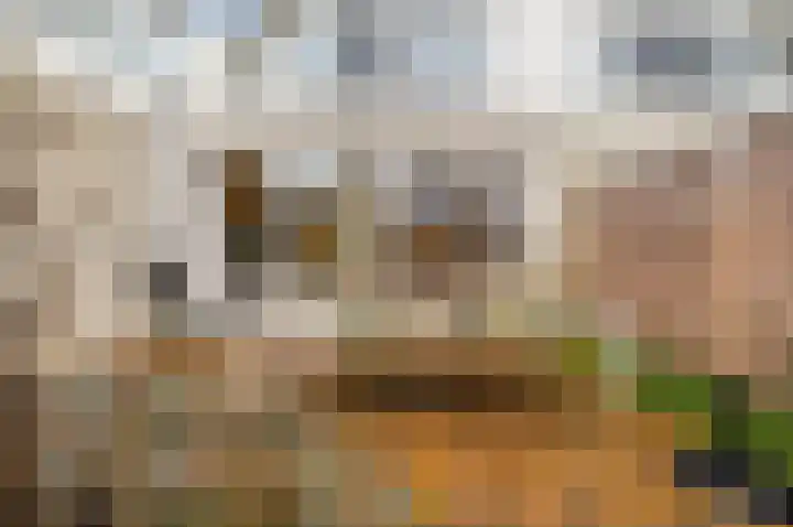 Boomkwekerij 15 Den Hoorn thumbnail 47