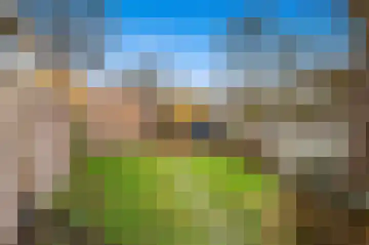 Boomkwekerij 15 Den Hoorn thumbnail 48