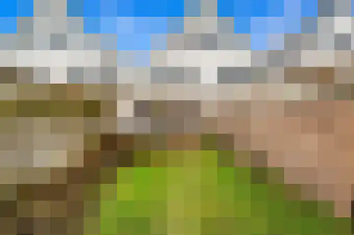 Boomkwekerij 15 Den Hoorn thumbnail 49