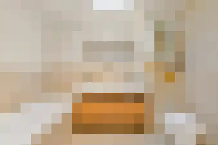 Boomkwekerij 15 Den Hoorn thumbnail 5