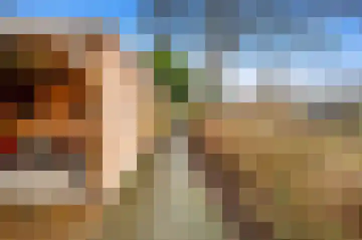 Boomkwekerij 15 Den Hoorn thumbnail 51