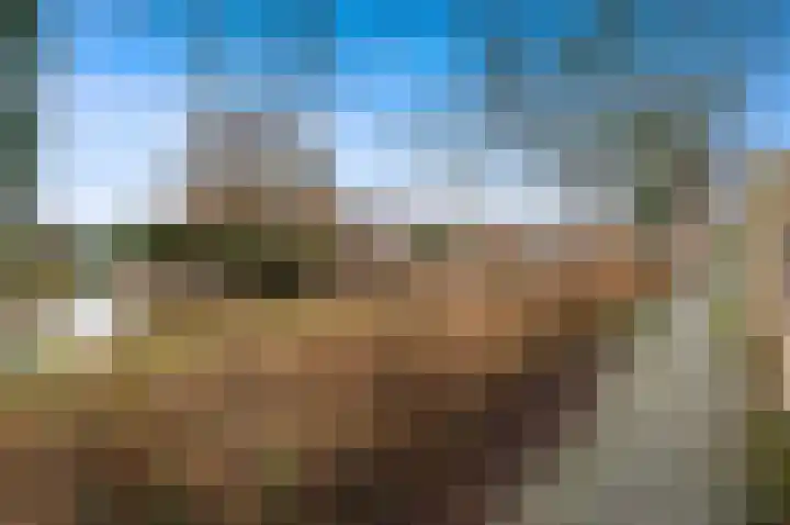 Boomkwekerij 15 Den Hoorn thumbnail 52