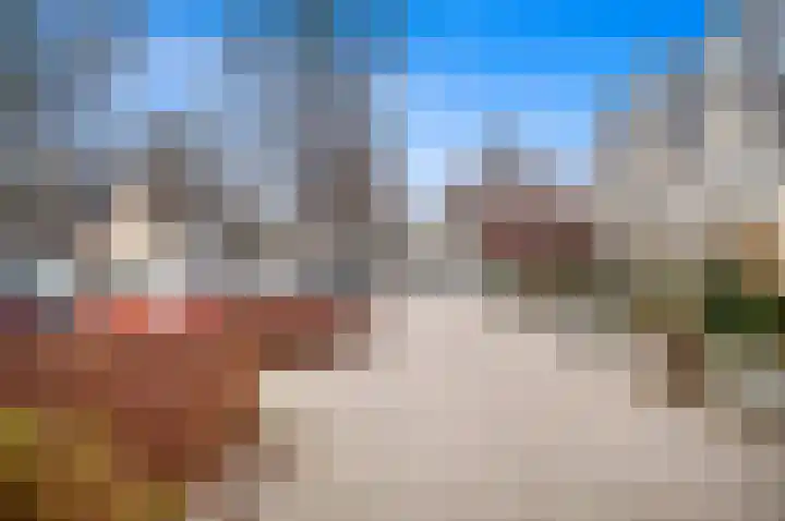 Boomkwekerij 15 Den Hoorn thumbnail 53