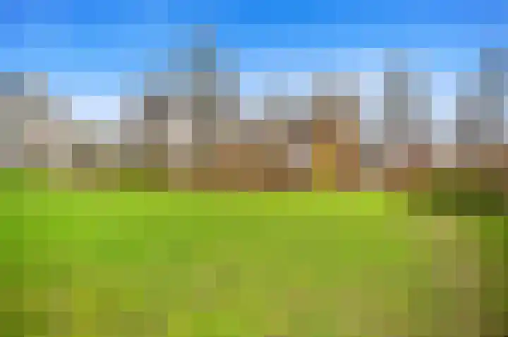 Boomkwekerij 15 Den Hoorn thumbnail 54