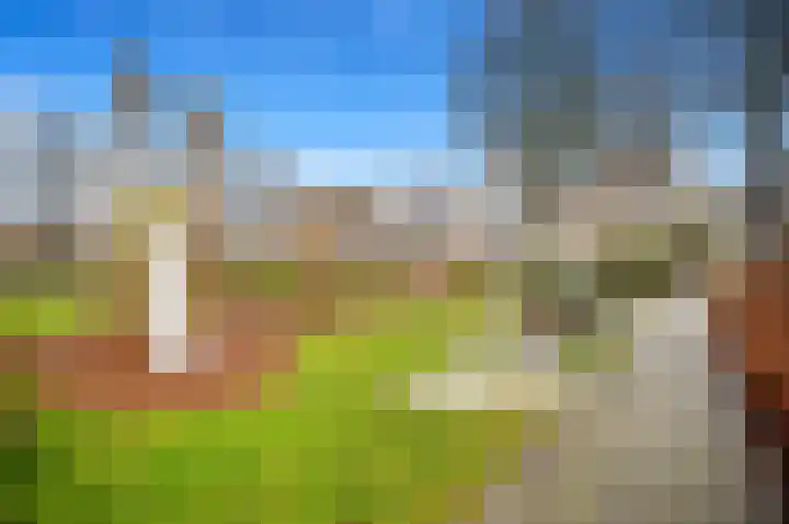 Boomkwekerij 15 Den Hoorn thumbnail 55