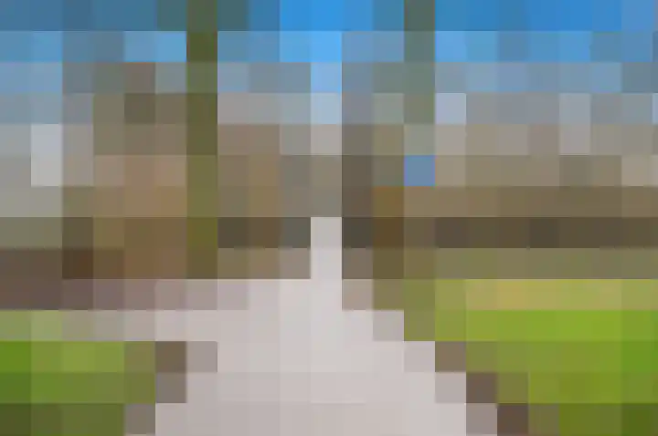 Boomkwekerij 15 Den Hoorn thumbnail 56