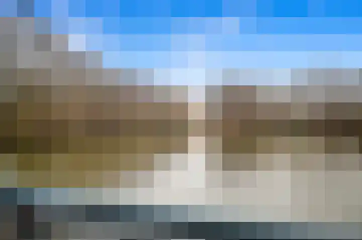 Boomkwekerij 15 Den Hoorn thumbnail 57