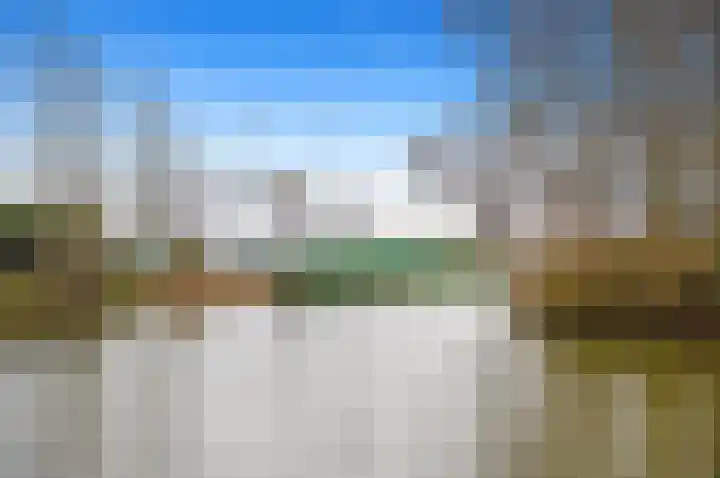 Boomkwekerij 15 Den Hoorn thumbnail 58