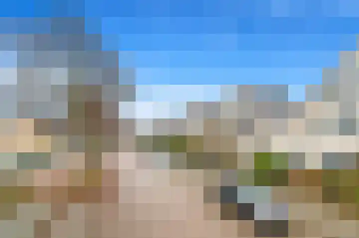 Boomkwekerij 15 Den Hoorn thumbnail 6