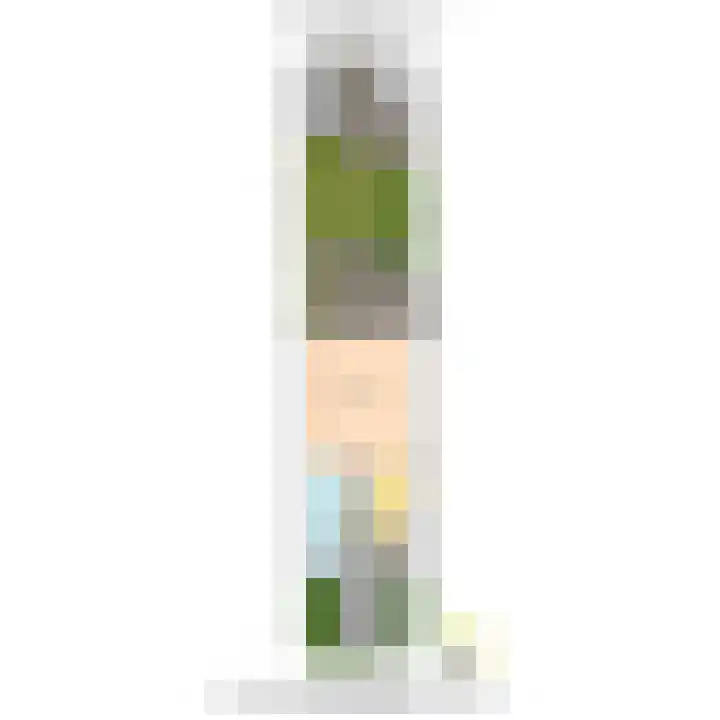 Boomkwekerij 15 Den Hoorn thumbnail 62